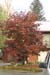 1582_cloudyWB_noon_partlysun