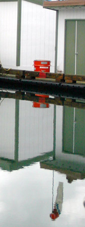 1521_croppedsm