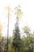 812_Contrast_plus2