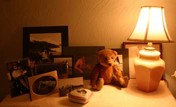 590sunlight_small